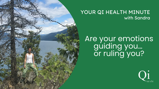 Are Your Emotions Guiding You…or Ruling You?