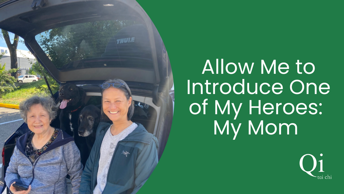 Allow Me to Introduce One of My Heroes – My Mom