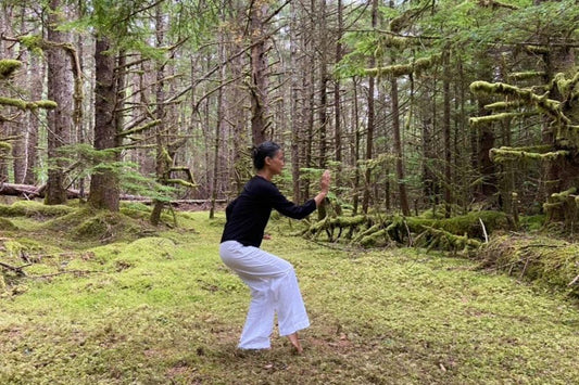 Deepening the Practice of Tai Chi LIVE Online Classes