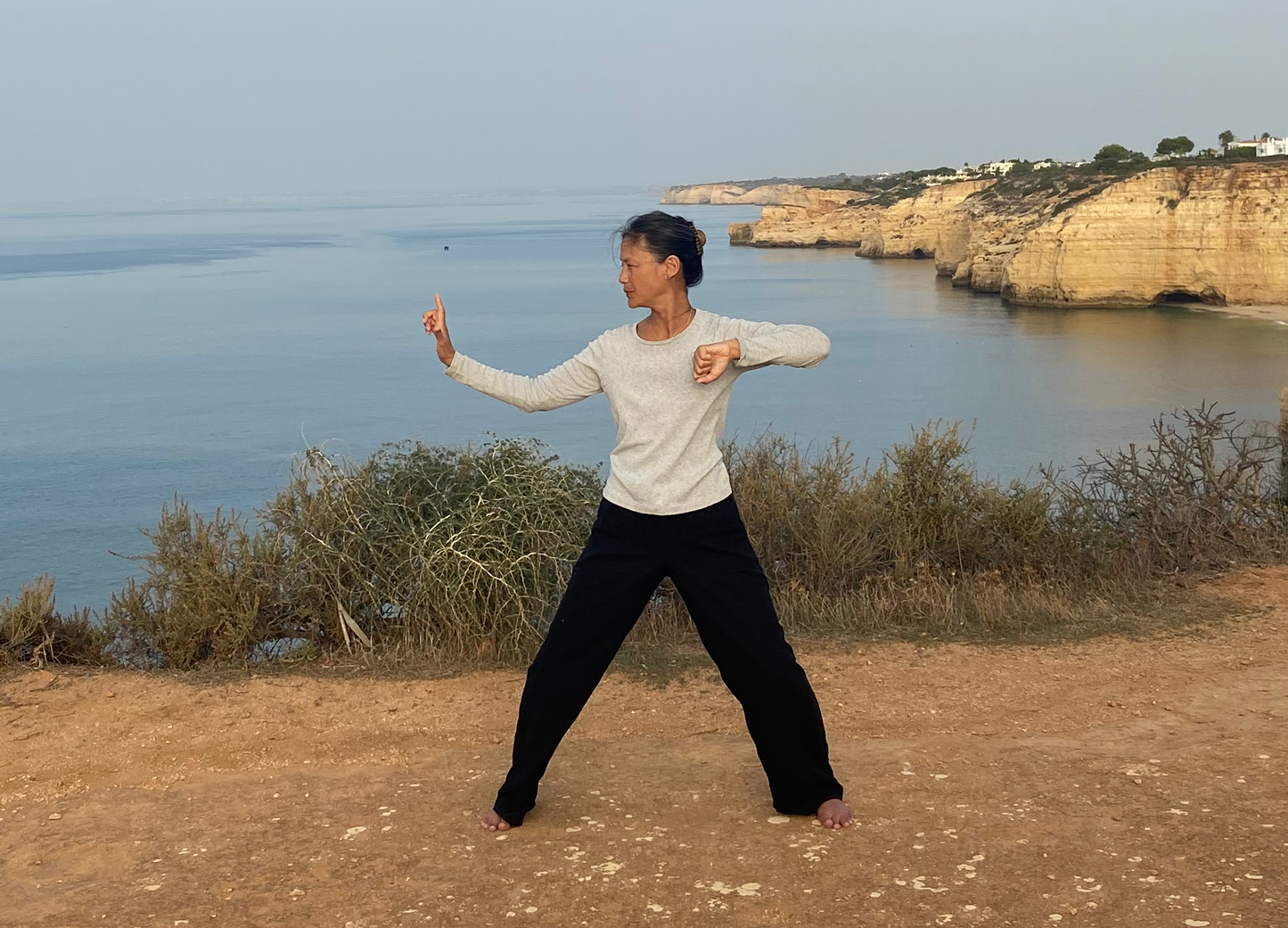 Ba Duan Jin Study Program