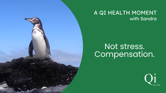 Not Stress. Compensation. 