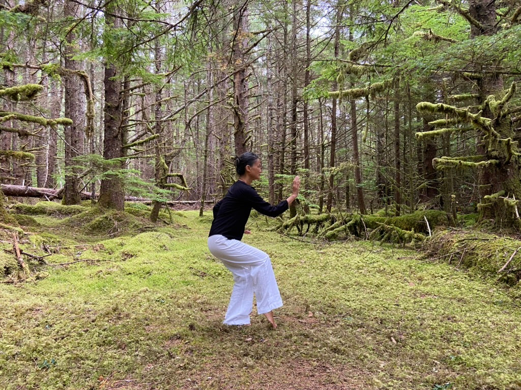 The Tai Chi Middle Ground Fall 2023