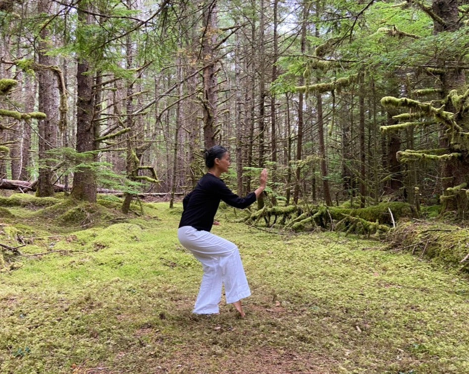 Deepening the Practice of Tai Chi LIVE Online Classes