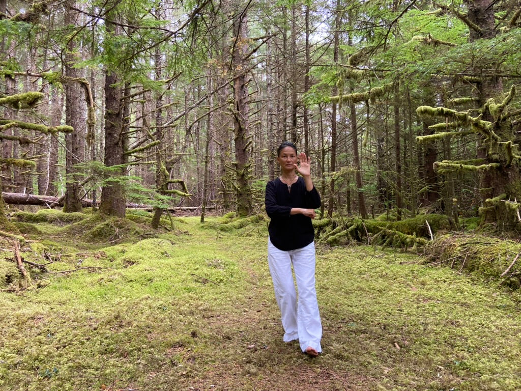 Advanced Tai Chi Classes